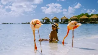 Aruba Unlocked: An Inclusive Queer Travel Guide to the Caribbean’s “One Happy Island”
