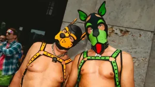 Sniffing Out Joy: How Pup Play Is Unleashing New Queer Freedoms