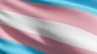When the Flag Doesn’t Wave: TikTok’s Trans Emoji Glitch and Why It Hits Home